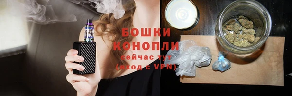 шишки Балахна