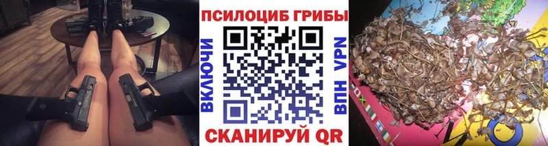 Псилоцибиновые грибы GOLDEN TEACHER  Чердынь 